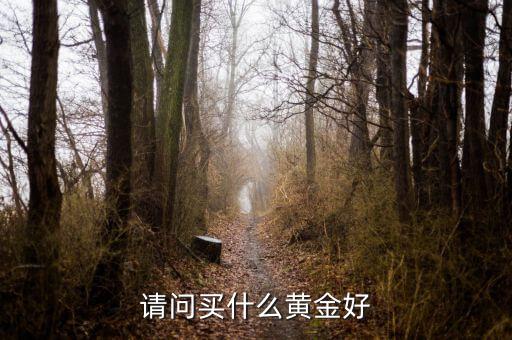 請(qǐng)問買什么黃金好
