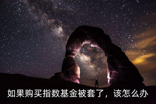 如果購買指數(shù)基金被套了，該怎么辦