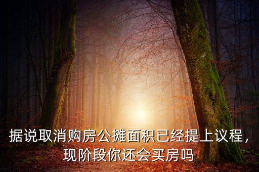 據(jù)說(shuō)取消購(gòu)房公攤面積已經(jīng)提上議程，現(xiàn)階段你還會(huì)買房嗎