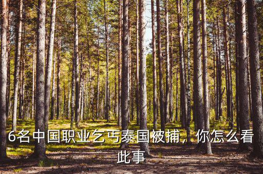 6名中國(guó)職業(yè)乞丐泰國(guó)被捕，你怎么看此事