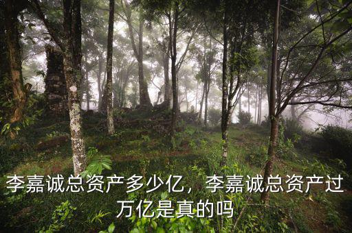 李嘉誠(chéng)總資產(chǎn)多少億，李嘉誠(chéng)總資產(chǎn)過萬億是真的嗎