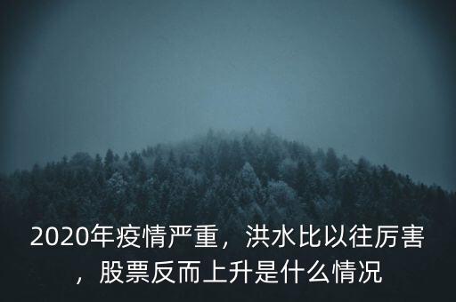 2020年疫情嚴(yán)重，洪水比以往厲害，股票反而上升是什么情況