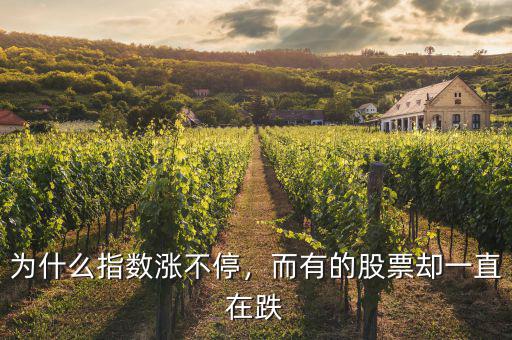 為什么指數(shù)漲不停，而有的股票卻一直在跌
