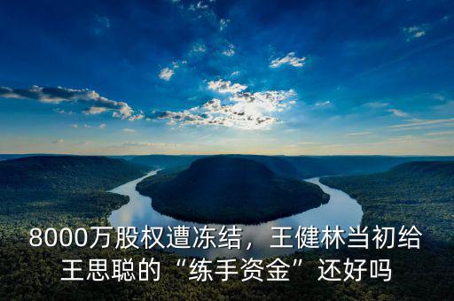 8000萬(wàn)股權(quán)遭凍結(jié)，王健林當(dāng)初給王思聰?shù)摹熬毷仲Y金”還好嗎