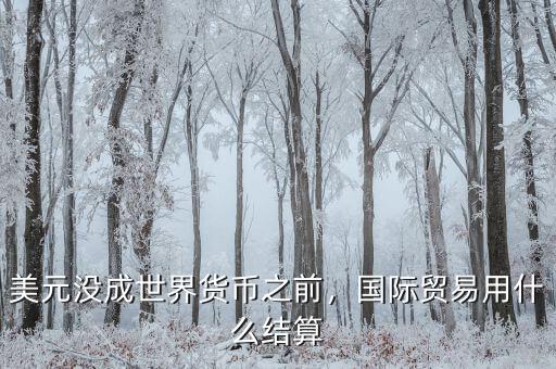 美元沒成世界貨幣之前，國際貿(mào)易用什么結算