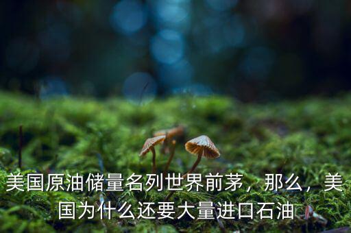 美國原油儲(chǔ)量名列世界前茅，那么，美國為什么還要大量進(jìn)口石油
