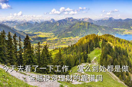 今天去看了一下工作，怎么到處都是做金融投資理財?shù)目孔V嗎