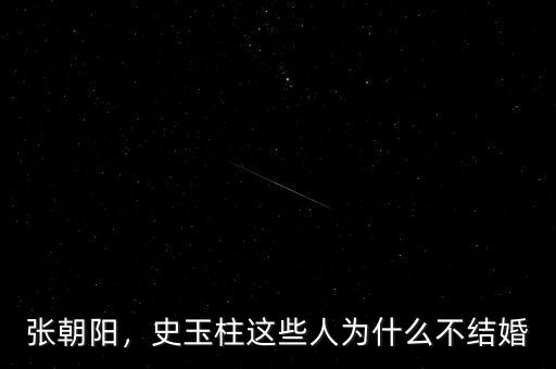 張朝陽(yáng)，史玉柱這些人為什么不結(jié)婚