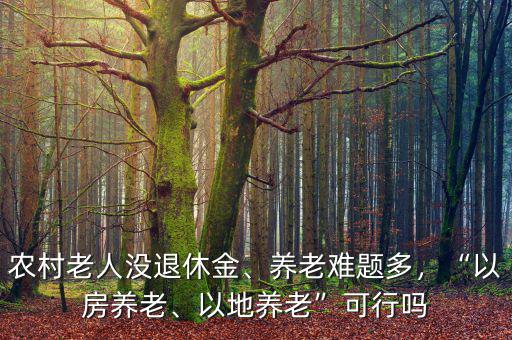 農(nóng)村老人沒(méi)退休金、養(yǎng)老難題多，“以房養(yǎng)老、以地養(yǎng)老”可行嗎