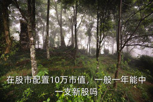 在股市配置10萬(wàn)市值，一般一年能中一支新股嗎