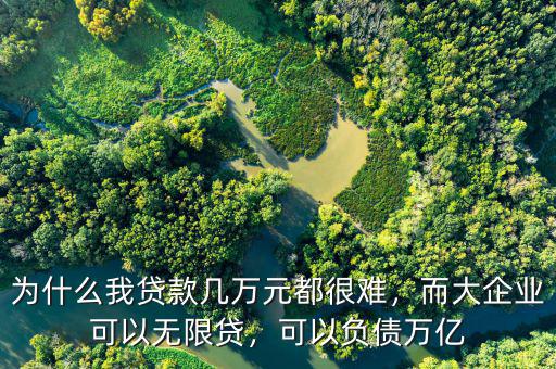 為什么我貸款幾萬元都很難，而大企業(yè)可以無限貸，可以負(fù)債萬億