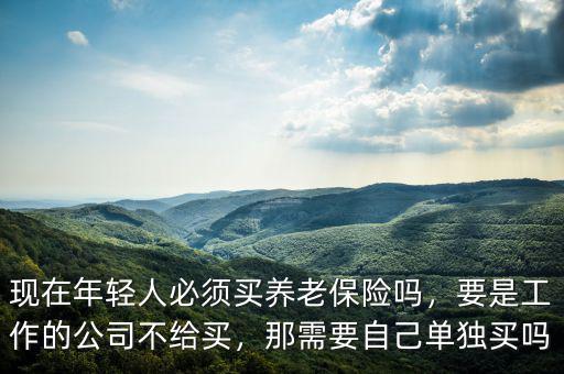 現(xiàn)在年輕人必須買養(yǎng)老保險嗎，要是工作的公司不給買，那需要自己單獨買嗎