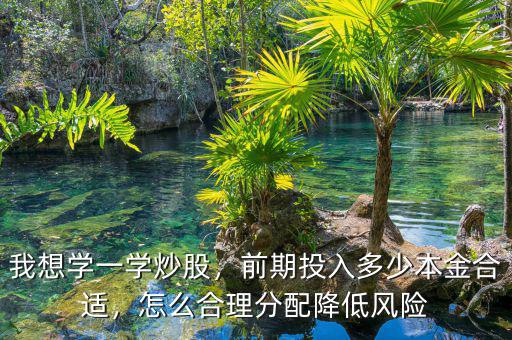 我想學(xué)一學(xué)炒股，前期投入多少本金合適，怎么合理分配降低風(fēng)險(xiǎn)