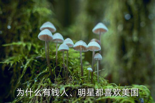 為什么有錢人、明星都喜歡美國