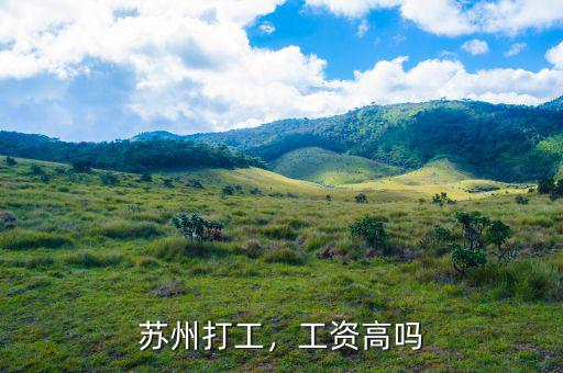 蘇州打工，工資高嗎