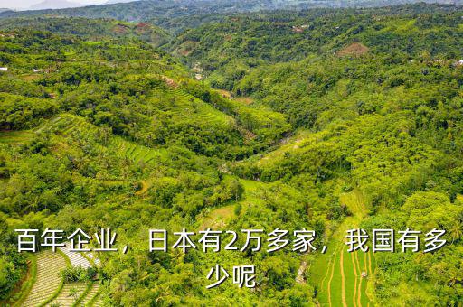 百年企業(yè)，日本有2萬(wàn)多家，我國(guó)有多少呢