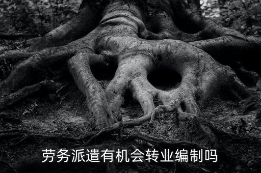 勞務派遣怎么能變成有編制,勞務派遣有機會轉(zhuǎn)事業(yè)編制嗎