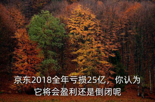京東2018全年虧損25億，你認(rèn)為它將會盈利還是倒閉呢