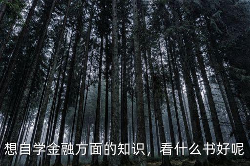 金融方面有什么好書(shū),有什么好書(shū)推薦