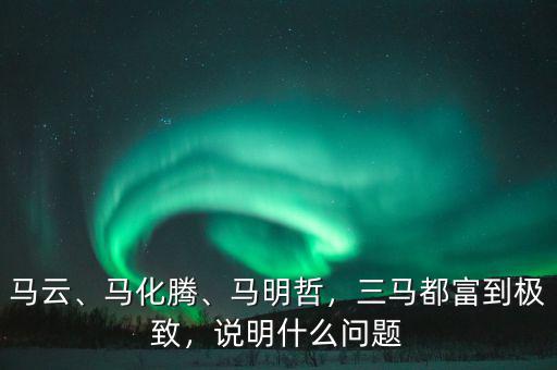 馬云、馬化騰、馬明哲，三馬都富到極致，說明什么問題