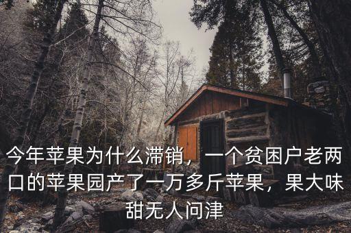 今年蘋果為什么滯銷，一個(gè)貧困戶老兩口的蘋果園產(chǎn)了一萬多斤蘋果，果大味甜無人問津
