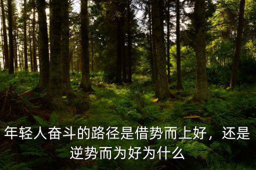 年輕人奮斗的路徑是借勢而上好，還是逆勢而為好為什么