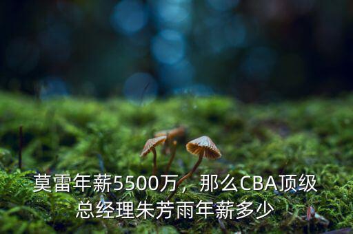 莫雷年薪5500萬，那么CBA頂級總經(jīng)理朱芳雨年薪多少