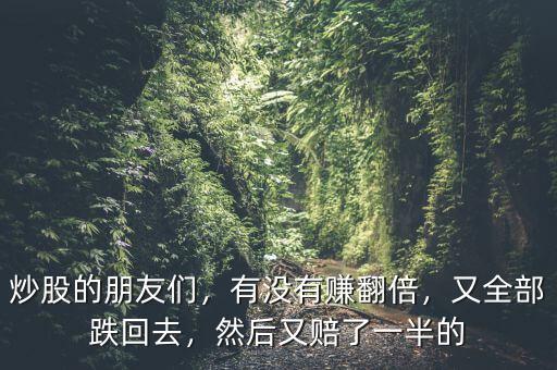 炒股的朋友們，有沒有賺翻倍，又全部跌回去，然后又賠了一半的