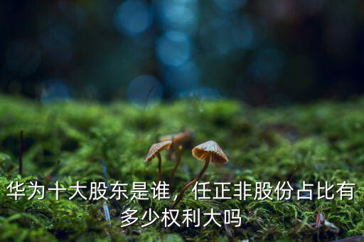 華為十大股東是誰，任正非股份占比有多少權(quán)利大嗎