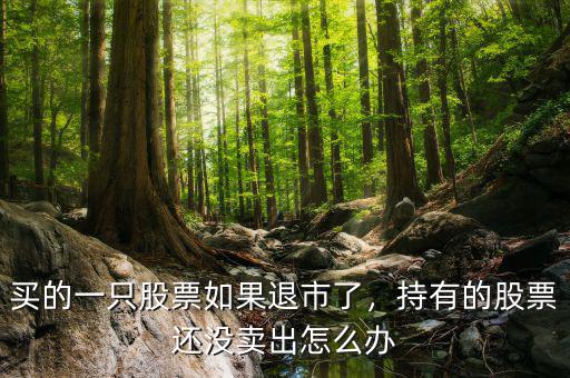 買的一只股票如果退市了，持有的股票還沒賣出怎么辦