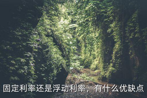 固定利率還是浮動(dòng)利率，有什么優(yōu)缺點(diǎn)