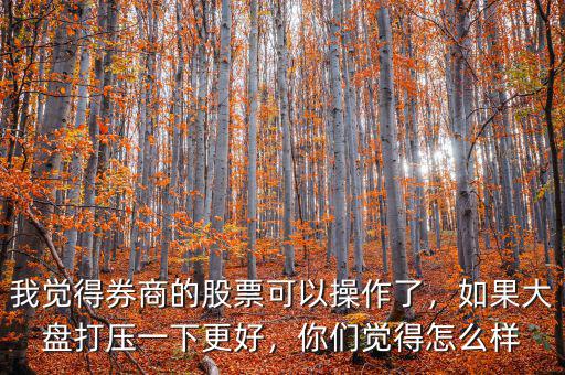 我覺得券商的股票可以操作了，如果大盤打壓一下更好，你們覺得怎么樣