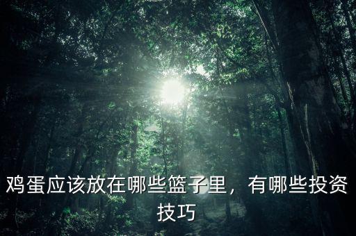 雞蛋應(yīng)該放在哪些籃子里，有哪些投資技巧