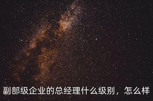 副部級企業(yè)的總經(jīng)理什么級別，怎么樣