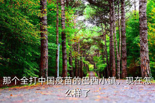 那個全打中國疫苗的巴西小鎮(zhèn)，現(xiàn)在怎么樣了