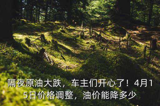 隔夜原油大跌，車主們開心了！4月15日價(jià)格調(diào)整，油價(jià)能降多少