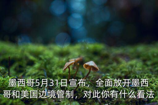 墨西哥5月31日宣布，全面放開墨西哥和美國邊境管制，對此你有什么看法