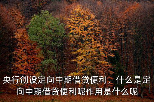 央行創(chuàng)設(shè)定向中期借貸便利，什么是定向中期借貸便利呢作用是什么呢