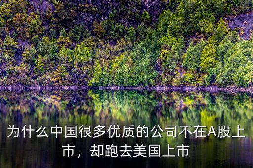 為什么中國(guó)很多優(yōu)質(zhì)的公司不在A股上市，卻跑去美國(guó)上市