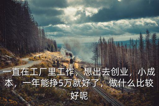 一直在工廠里工作，想出去創(chuàng)業(yè)，小成本，一年能掙5萬就好了，做什么比較好呢