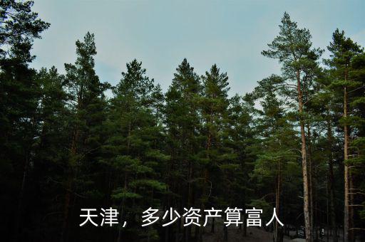 天津，多少資產(chǎn)算富人