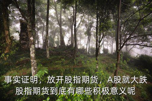 事實(shí)證明，放開股指期貨，A股就大跌股指期貨到底有哪些積極意義呢