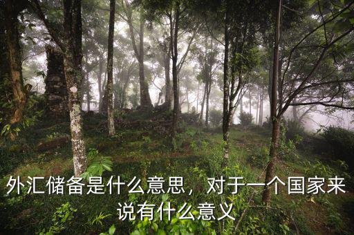 外匯儲(chǔ)備是什么意思，對(duì)于一個(gè)國(guó)家來(lái)說(shuō)有什么意義
