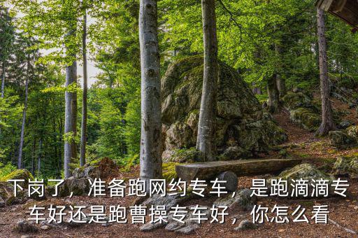 下崗了，準備跑網(wǎng)約專車，是跑滴滴專車好還是跑曹操專車好，你怎么看