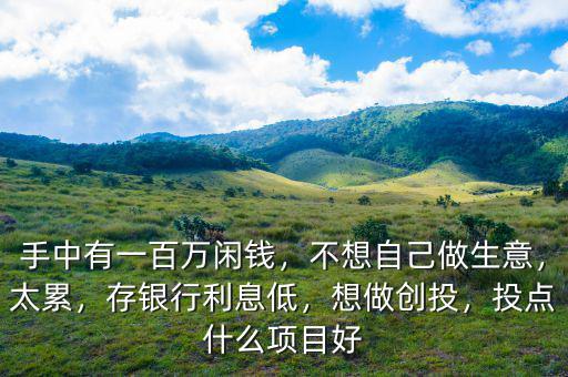 手中有一百萬閑錢，不想自己做生意，太累，存銀行利息低，想做創(chuàng)投，投點(diǎn)什么項(xiàng)目好