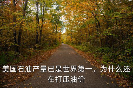 美國(guó)石油產(chǎn)量已是世界第一，為什么還在打壓油價(jià)