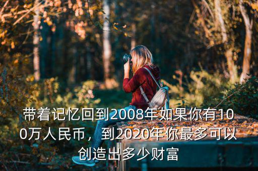 帶著記憶回到2008年如果你有100萬(wàn)人民幣，到2020年你最多可以創(chuàng)造出多少財(cái)富