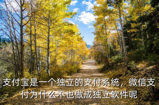 支付寶是一個獨立的支付系統(tǒng)，微信支付為什么不也做成獨立軟件呢
