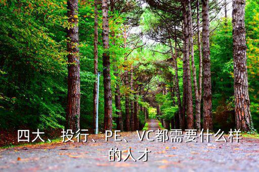 四大、投行、PE、VC都需要什么樣的人才