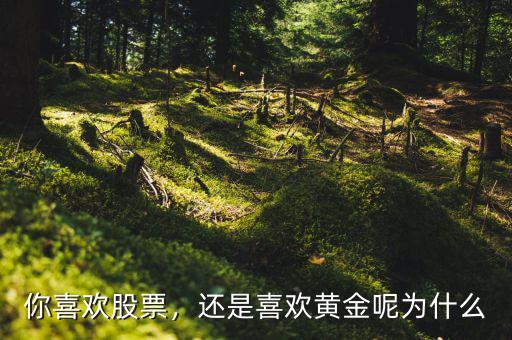 你喜歡股票，還是喜歡黃金呢為什么